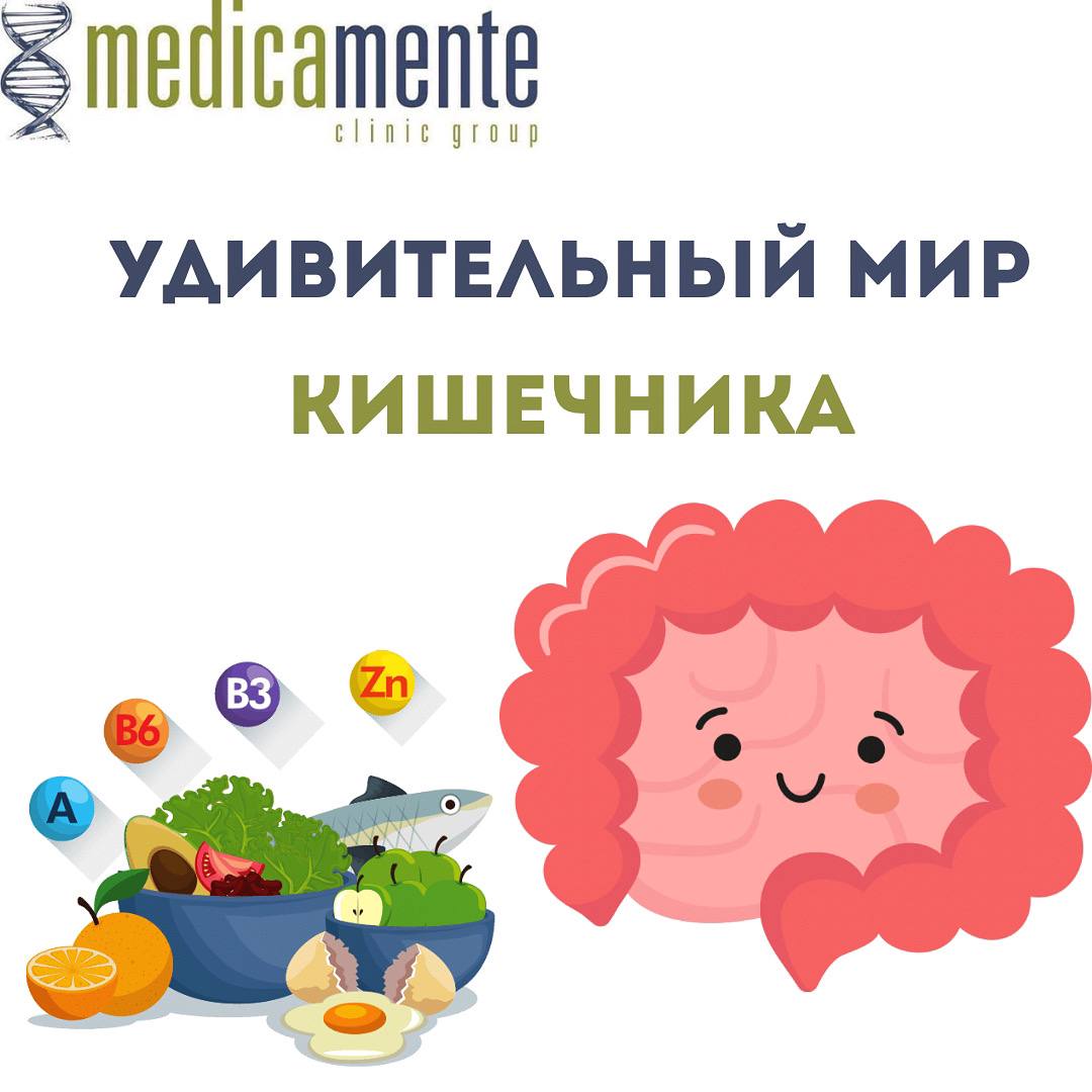 Микробиота кишечника